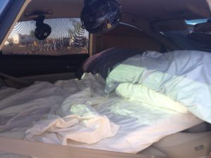 Prius Camping Road Trip